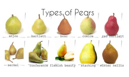 Natural Prevention with Pears