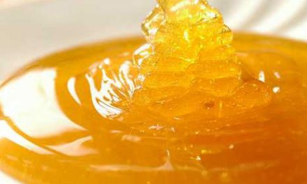 Benefits of Honey According to Ayurveda