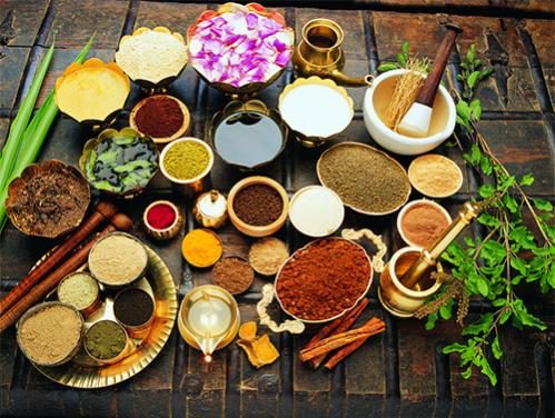 Ayurvedic Health Retreats in South India