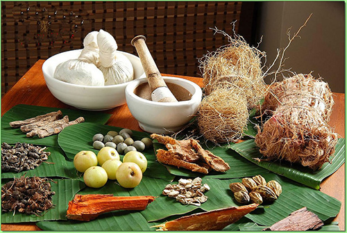 Potent Health Benefits of Six Traditional Ayurvedic Herbs