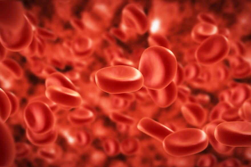 blood-cells