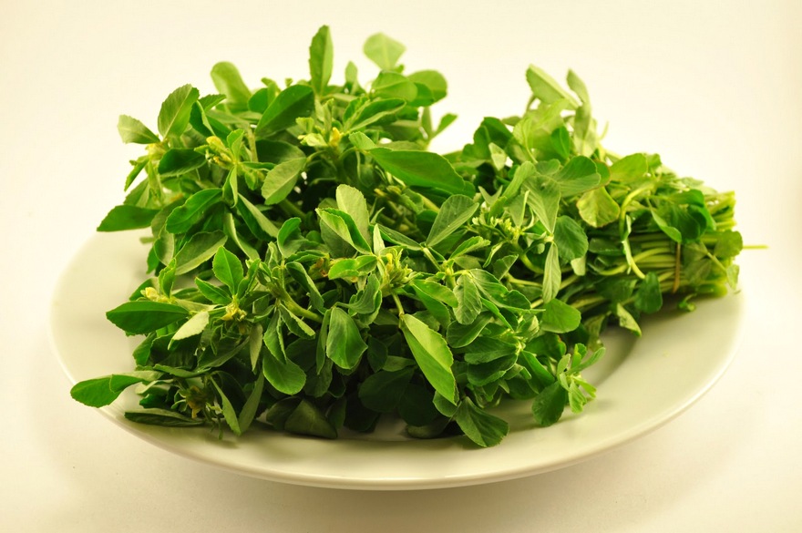 methi