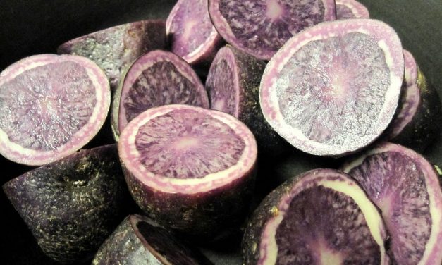 Purple Potatoes Help Prevent Colon Cancer