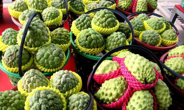 Health Benefits of Eating Sugar Apple or Custard Apple