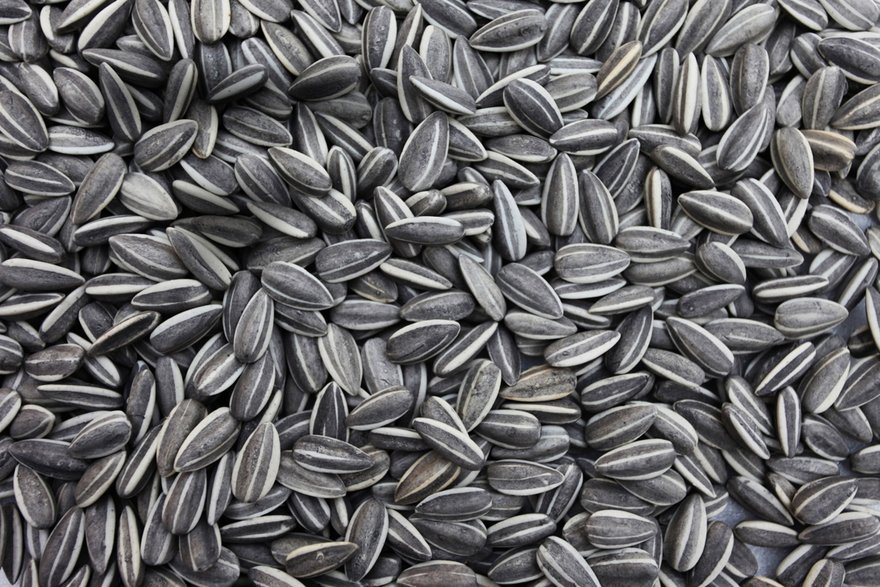 Sunflower Seeds