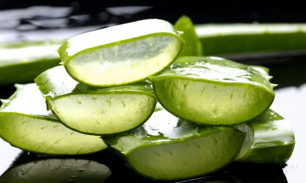 27 Benefits of Aloe Vera According to Ayurveda