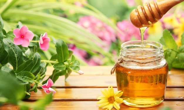 Health Benefits of Honey and Its Various Uses
