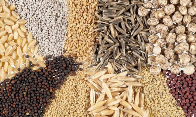 Top 5 Healthiest Seeds