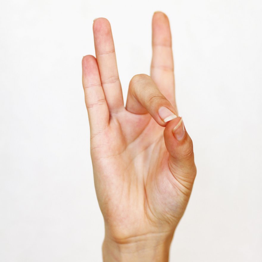 shuni-mudra