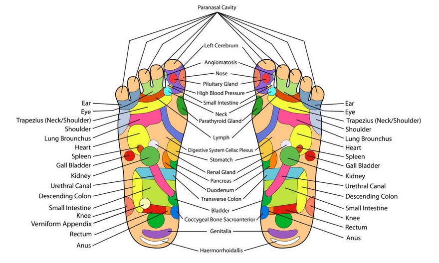 Health Benefits of Foot Massage and Reflexology2