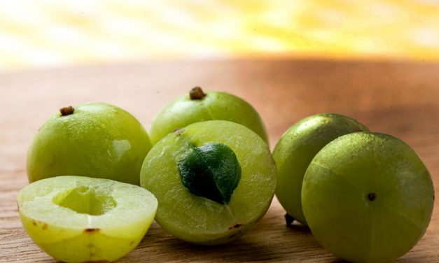 Indian Gooseberry: The Ayurvedic Medicine for Longevity