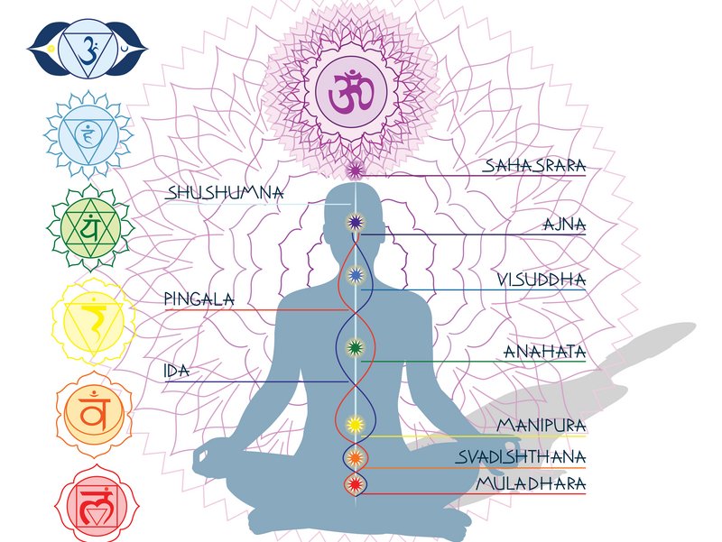 Yoga Nadis Chart