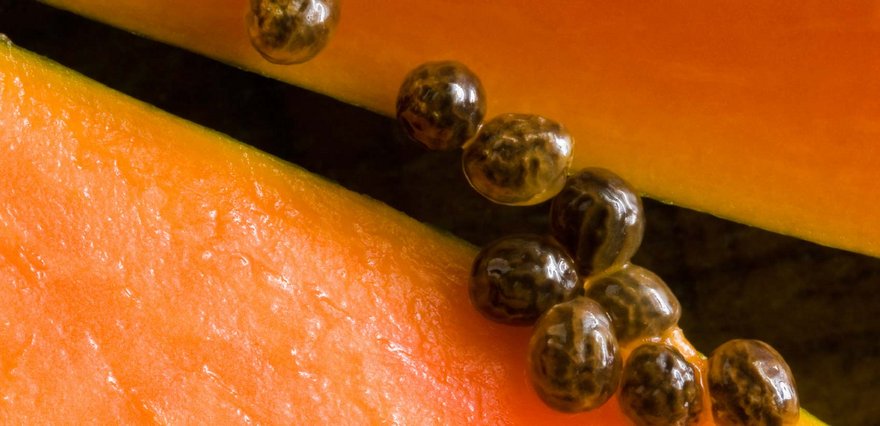 papaya seeds2