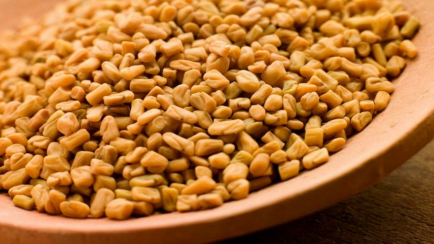 fenugreek