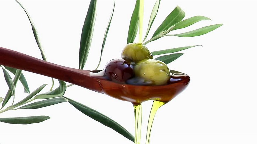 olive oil leaf