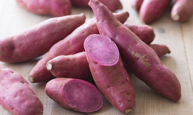 15 Reasons Why Sweet Potatoes are Perfect for Diabetics