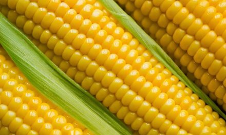 Health Benefits of Sweet Corn