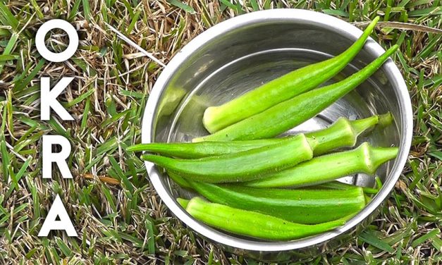 Treat Diabetes, Asthma, Cholesterol and Kidney Diseases with Okra Water