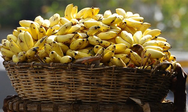 Add Bananas to Your Diet to Keep Eyes Healthy