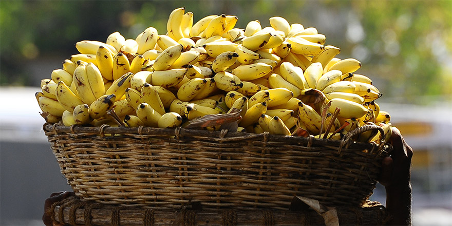 Add Bananas to Your Diet to Keep Eyes Healthy