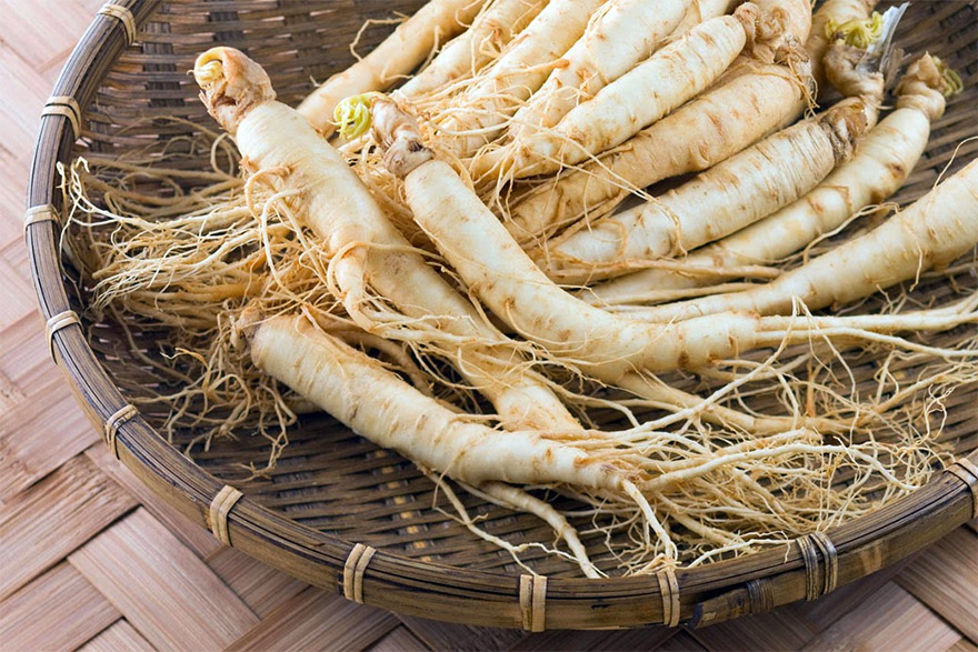 ginseng-04