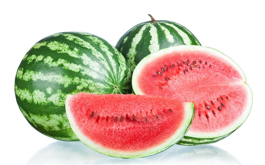 watermelon-01