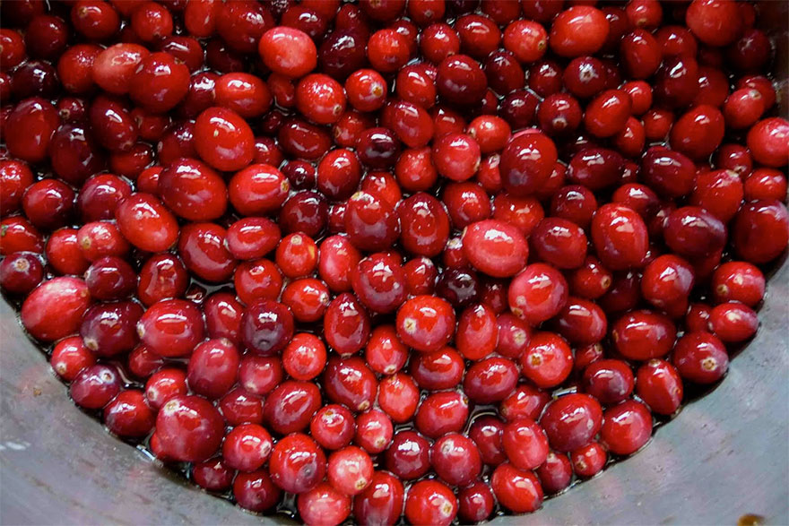 cranberry-04