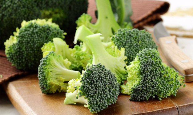 5 Kilograms of Broccoli in a Pill Slashes Diabetics’ Blood Sugar